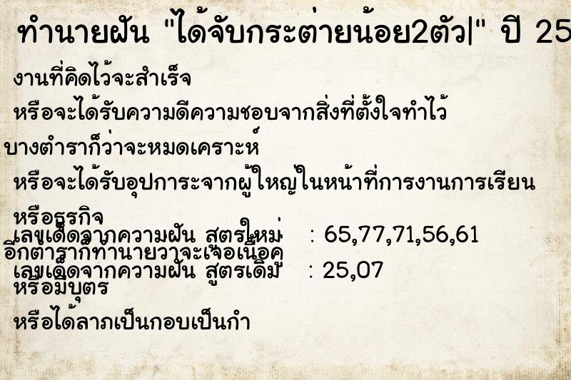 ทำนายฝันได้จับกระต่ายน้อย2ตัว| ทำนายฝันทำนายฝันได้จับกระต่ายน้อย2ตัว|